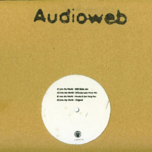 Audioweb - Into My World - Album Cover