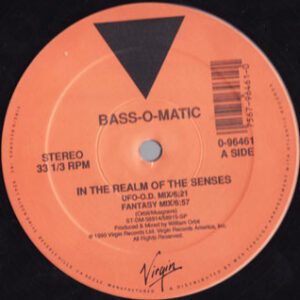 Bassomatic - In The Realm Of The Senses - Album Cover