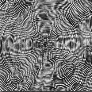 Bleeding Heart Pigeons - Is - Album Image