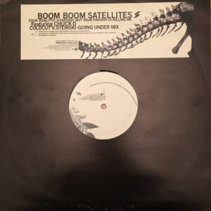 Boom Boom Satellites - Your Reality's A Fantasy But Your Fantasy Is Killing Me - Album Cover