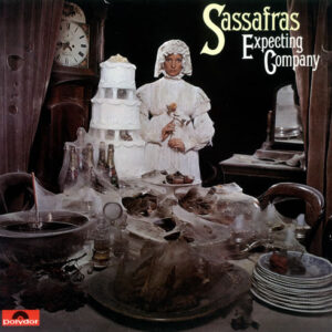 Sassafras - Expecting Company - Album Cover