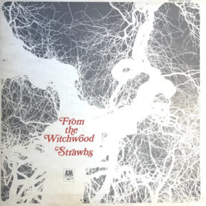 Strawbs - From The Witchwood - Album Cover