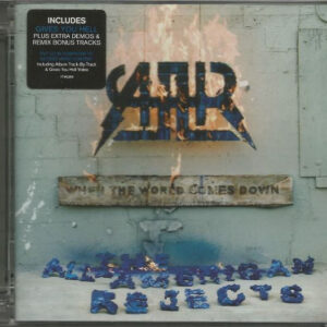 The All-American Rejects - When The World Comes Down - Album Cover