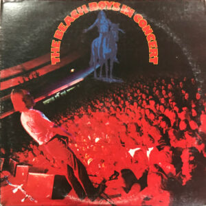 The Beach Boys - In Concert - Album Cover