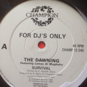 The Dawning - Survival - Album Cover