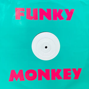 The Netherland Power - Feel It - Album Cover