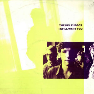 The Del Fuegos - I Still Want You - Album Image