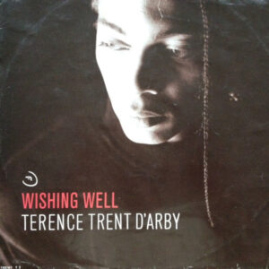 Terence Trent D'Arby - Wishing Well - Album Cover