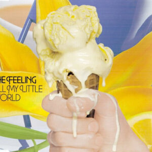 The Feeling - Fill My Little World - Album Cover